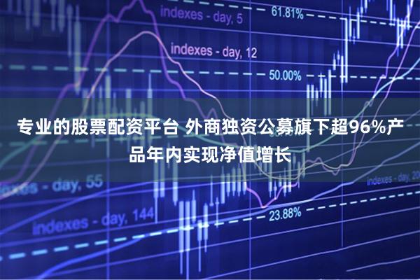 专业的股票配资平台 外商独资公募旗下超96%产品年内实现净值增长