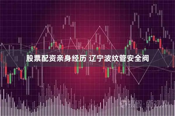 股票配资亲身经历 辽宁波纹管安全阀