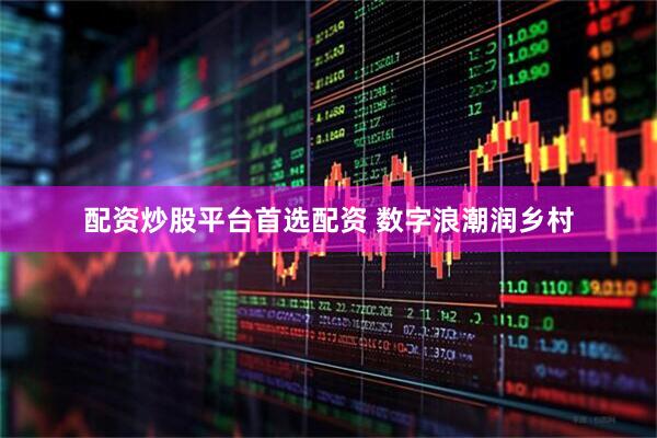 配资炒股平台首选配资 数字浪潮润乡村